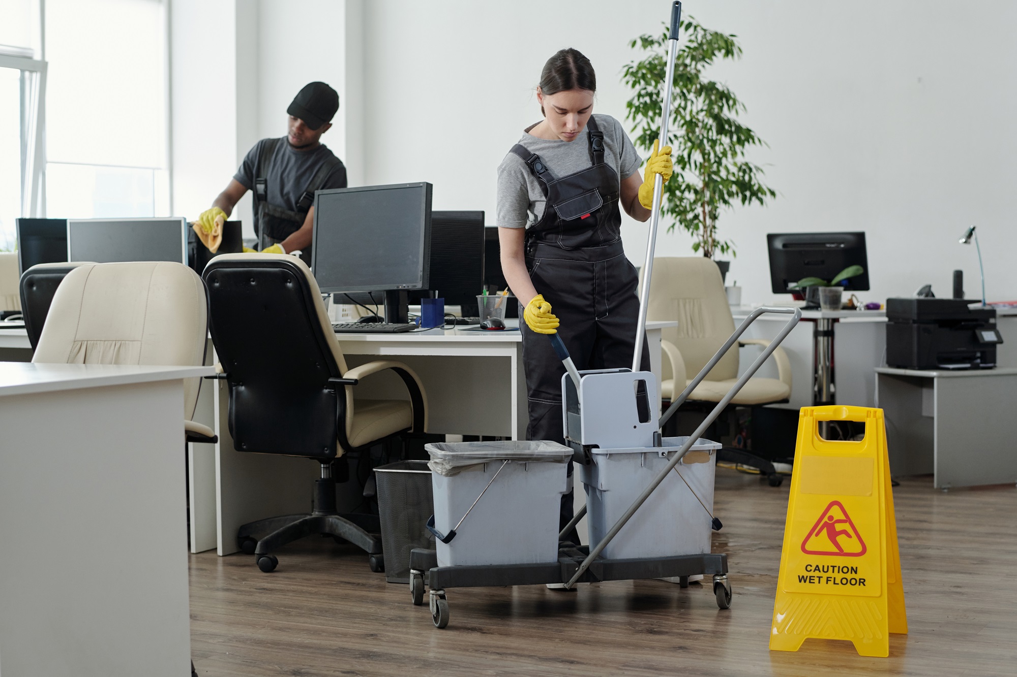 Επαγγελματικός καθαρισμός Bos-Cleaners greece